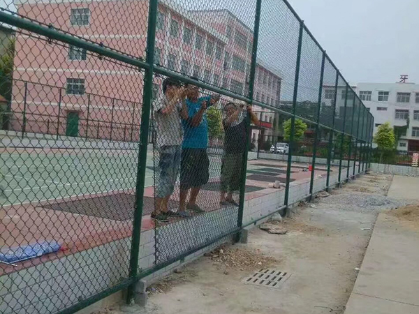 案例展示圖片2